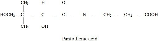 pantothemic acid